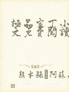 极品家丁小说全文免费阅读