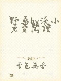 野桑by浅小说免费阅读