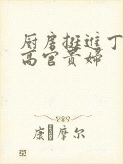 厨房挺进丁字裤高官贵妇