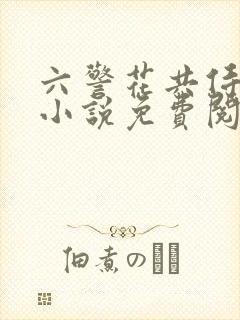 六警花共侍一夫小说免费阅读