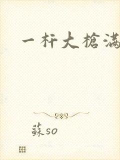 一杆大枪满屋扫