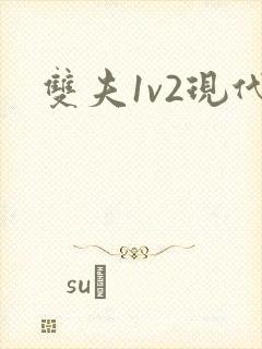 双夫1v2现代
