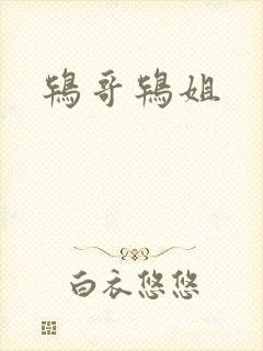 鸨哥鸨姐