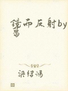 镜面反射by九葛