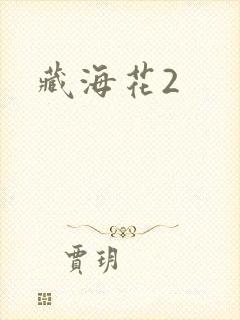 藏海花2