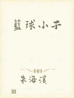 篮球小子