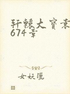 轩辕大宝袁雪妃674章