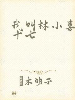 我叫林小喜今年十七