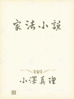 家法小说