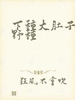 下种大肚子怀孕野种