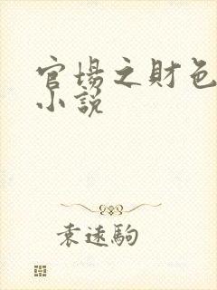 官场之财色诱人小说