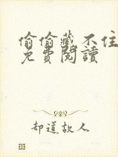 偷偷藏不住小说免费阅读