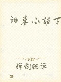 神墓小说下载