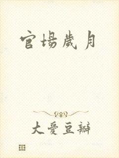官场岁月