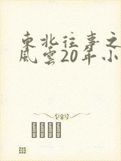 东北往事之黑道风云20年小说