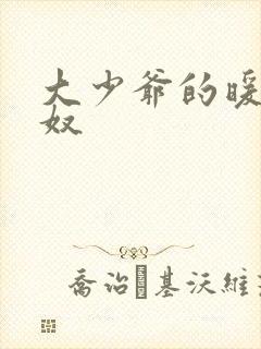 大少爷的暖床小奴