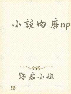 小说肉糜np