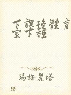 下课后体育器材室下种