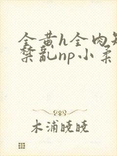 全黄h全肉短篇禁乱np小柔