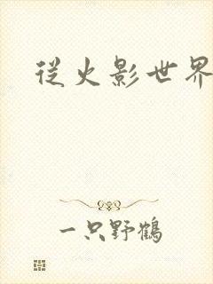 从火影世界归来