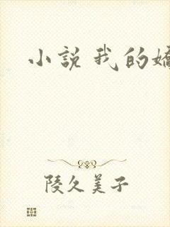 小说 我的娇妻