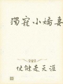 独宠小娇妻