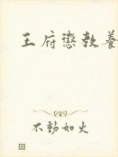 王府惩教养日常