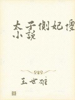 太子侧妃傻乎乎小说