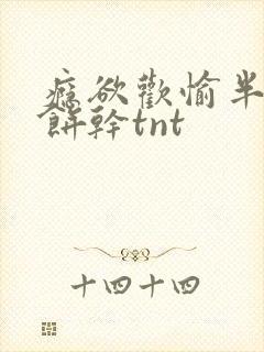 瘾欲欢愉半块小饼干tnt