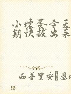 小坏蛋今天危险期快拔出来