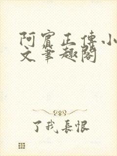 阿宾正传小说全文笔趣阁