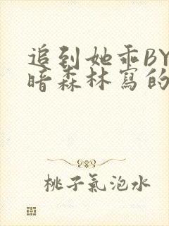 追到她乖BY黑暗森林写的小说