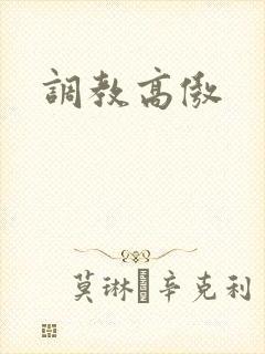 调教高傲