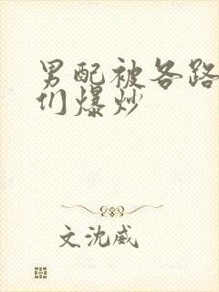 男配被各路大佬们爆炒