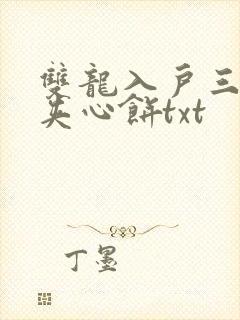 双龙入户三人行夹心饼txt