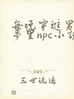 每晚穿进男神的梦里npc小说