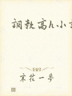 调教高h小说