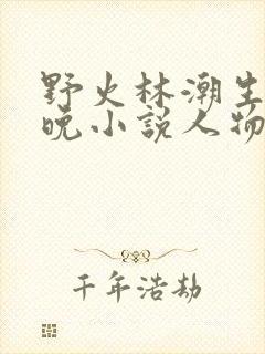 野火林潮生林晚晚小说人物野火