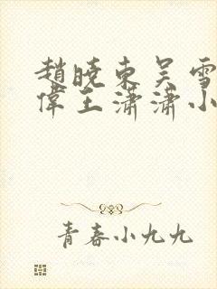 赵晓东吴雪晴郑伟王潇潇小说名字