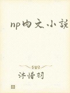 np肉文小说