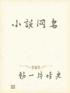 小说网名