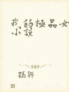 我的极品女老师小说