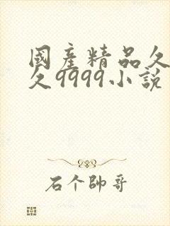 国产精品久久久久9999小说