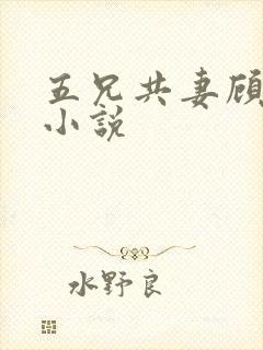 五兄共妻顾心儿小说