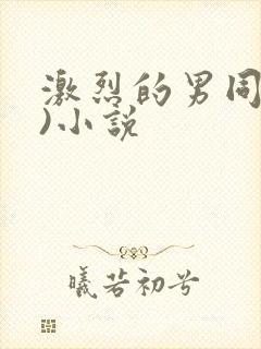 激烈的男同(h)小说