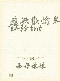 瘾欲欢愉半块小饼干tnt