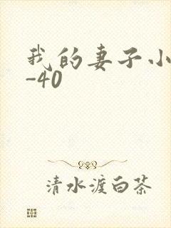 我的妻子小谨1-40