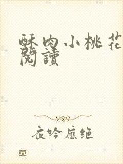 酥肉小桃花全文阅读