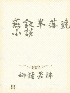 燕钗半落琥珀糖小说