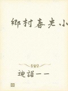 乡村春光小说